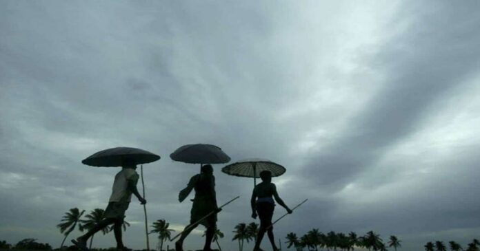 The monsoon spread across the state; Chance of thunder and rain with wind for the next five days
