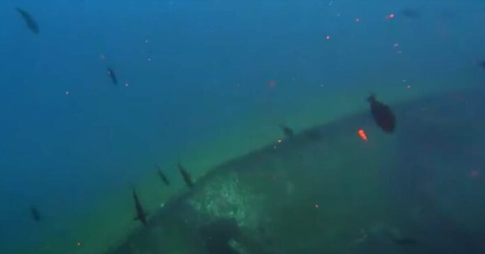 An unknown ship rests under the sea off the coast of Varkala! Scuba divers accidentally found a 12-foot-tall and 100-foot-long ship made of metal!