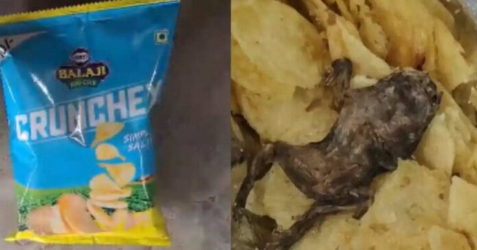A dead frog in a packet of potato chips! The complainant complained to the shop where she bought it and to the customer care but got no response; The Food Department has started an investigation