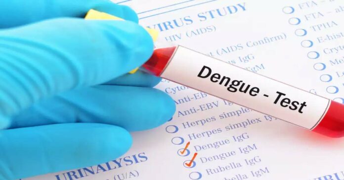 H1N1, dengue cases on the rise in the state; The daily number of patients has crossed eleven thousand